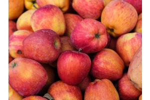 Wie verwerte ich das Obst im Herbst
