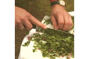 Wie schneide ich richtig mit meinem Küchenmesser