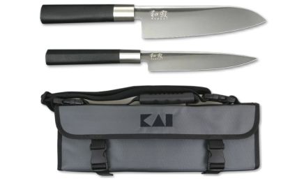 67-W25 Wasabi Messerset