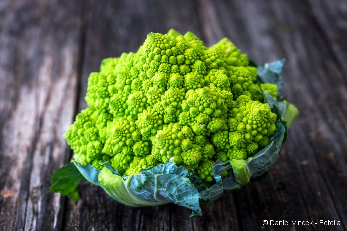 romanesco