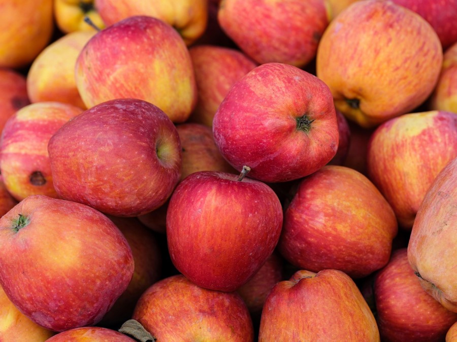 Wie verwerte ich das Obst im Herbst