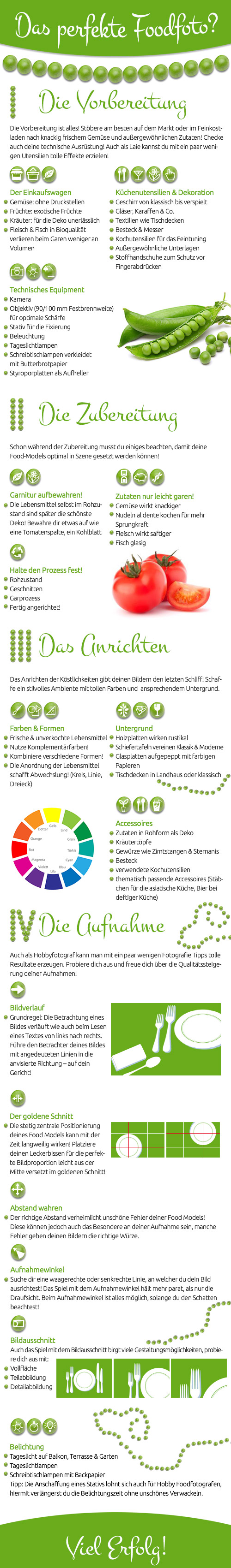 foodfotografie-infografik