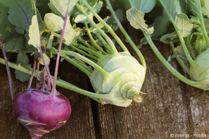 kohlrabi-schaelen