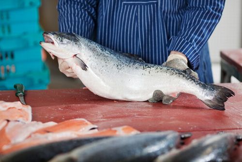 Mit dem Deba Messer verarbeiten: Frischer Lachs